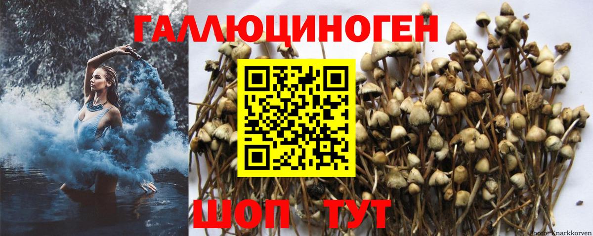 Галлюциногенные грибы Magic Shrooms Ртищево