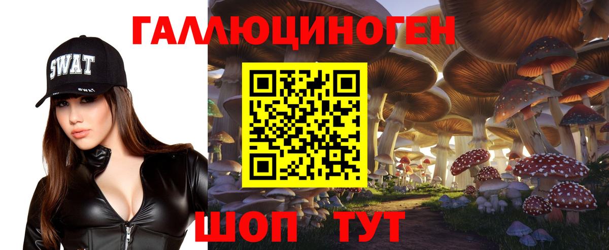 Ртищево  Псилоцибиновые грибы MAGIC MUSHROOMS  Галлюциногенные грибы мухоморы  Вход с VPN 